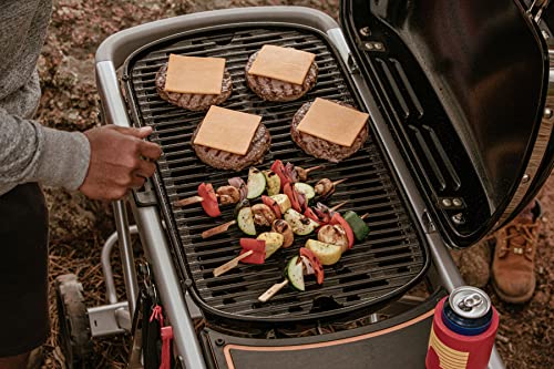 Weber Traveler Portable Gas Grill