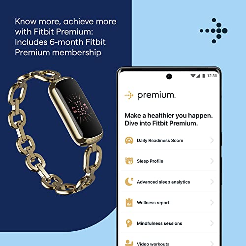 Fitbit Wellness Stainless Bracelet Included