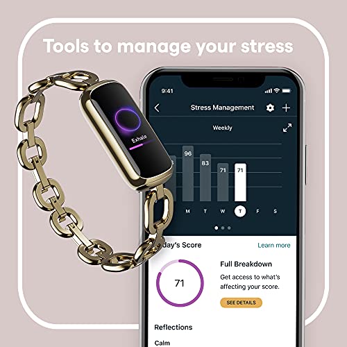 Fitbit Wellness Stainless Bracelet Included